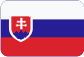 Boca del registro hidráulico de calzada Slovensky